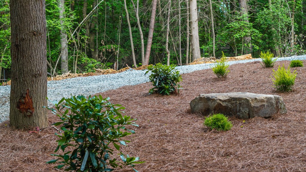 380 Lees Ride Blue Ridge, GA 30513 - Photo 54 of 61 a view of a garden with potted plants