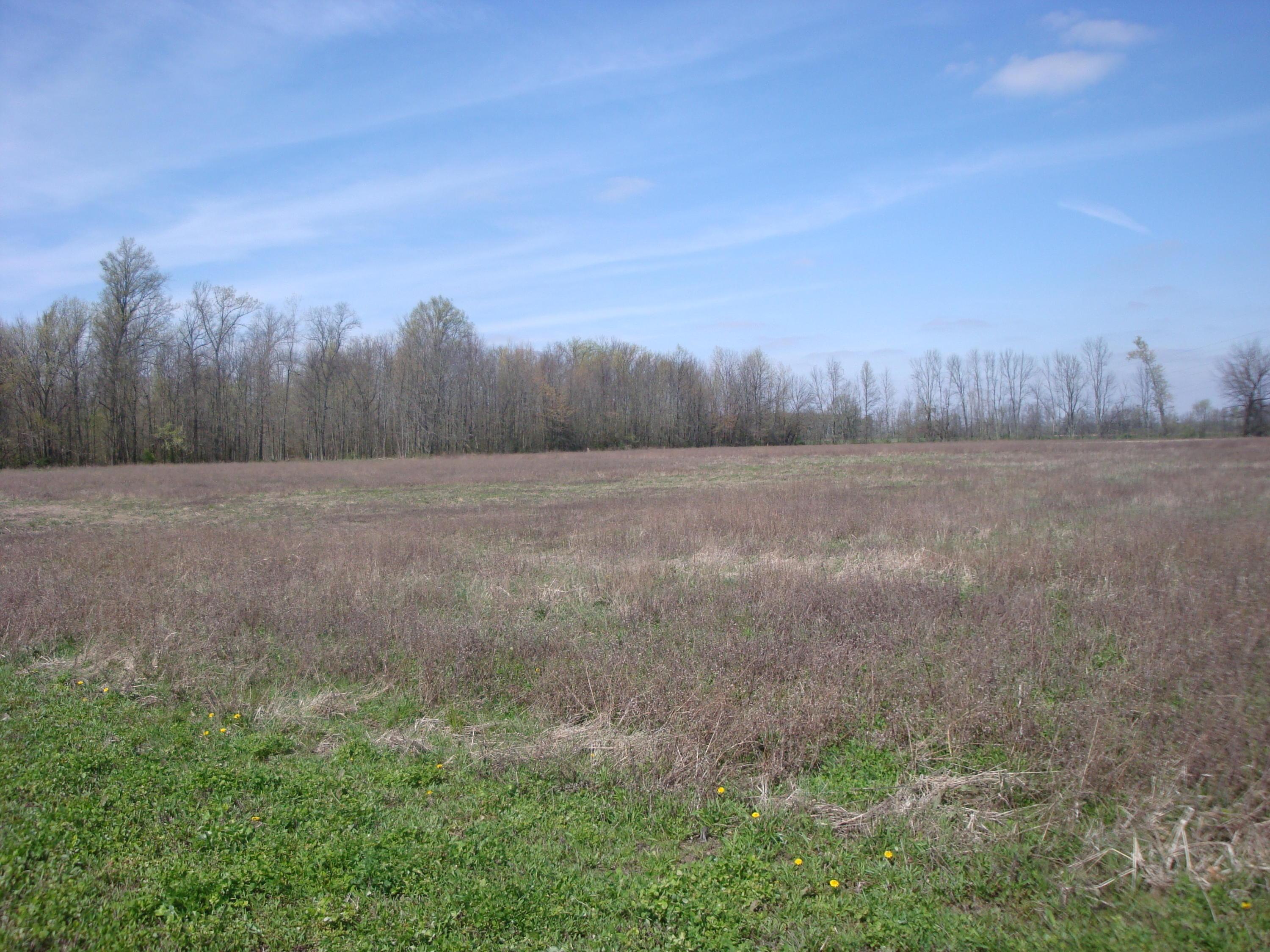 0 Fontanelle Road, Unit TRACT #11 Ostrander, OH 43061 - Photo 2 of 3