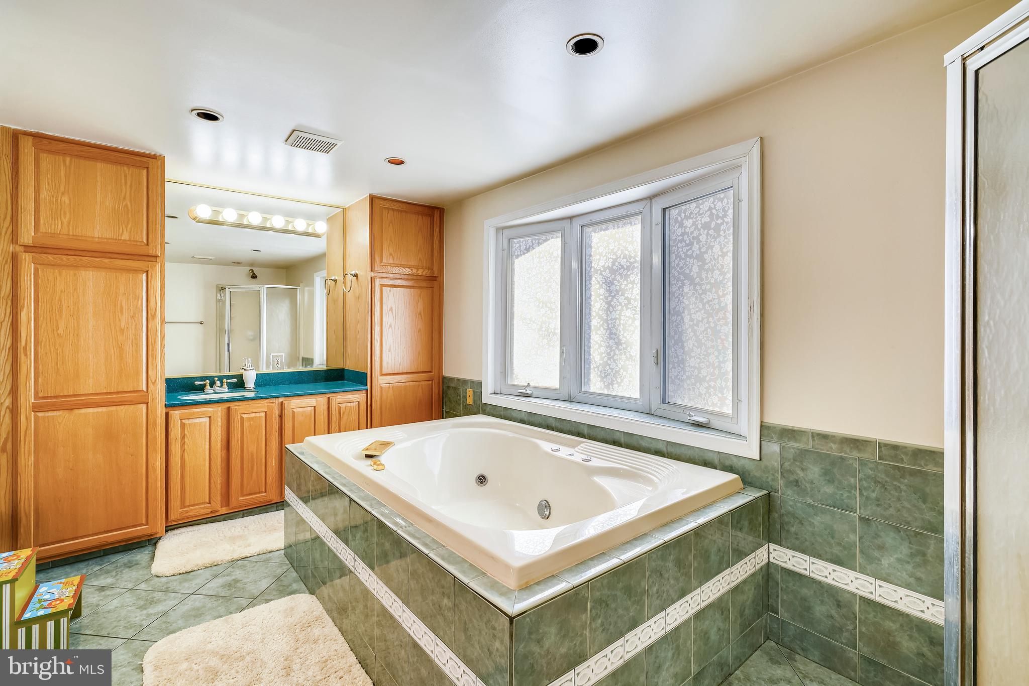 220 Homewood Road Linthicum Heights, MD 21090 - Photo 29 of 39 large super bath with whirlpool tub