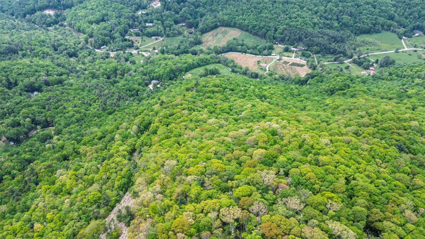 0 Stinger Ridge Road Glenville, NC 28736 - Photo 4 of 6 Gallery Image 4