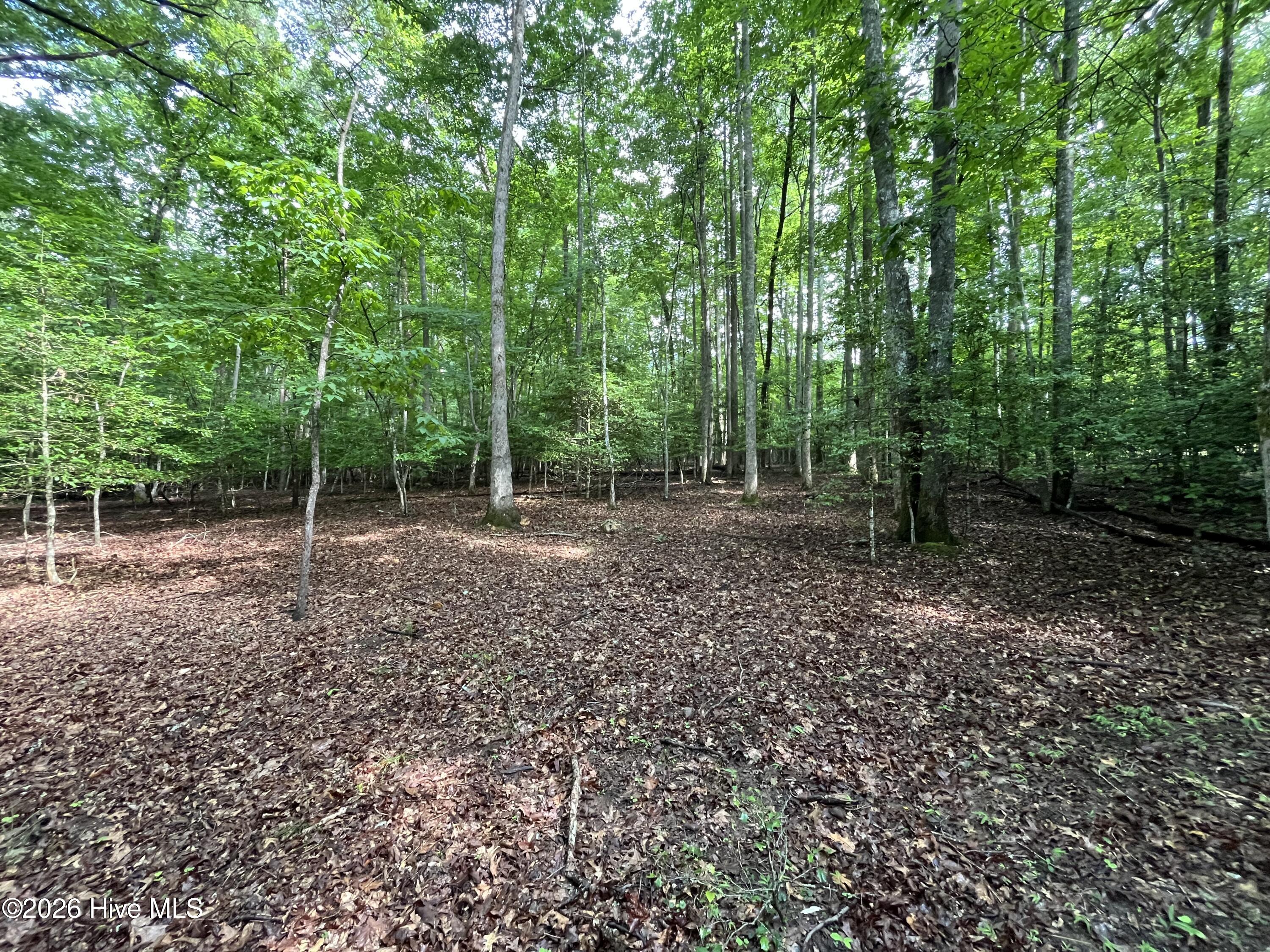 365 Roberson Road Murphy, NC 28906 - Photo 55 of 59