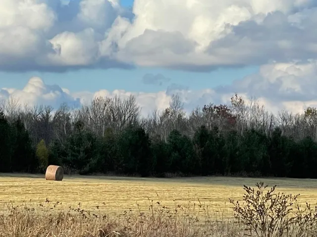 $159,777 | Tbd Tbd 132nd, Kettle River, MN 55757