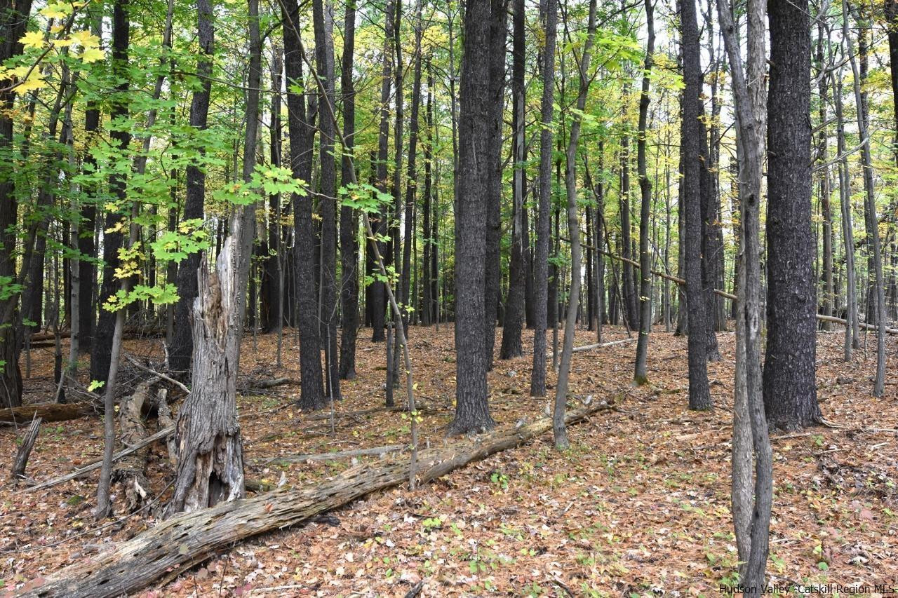Tbd Grove Street Cairo, NY 12413 - Photo 4 of 6 a view of outdoor space with garden view