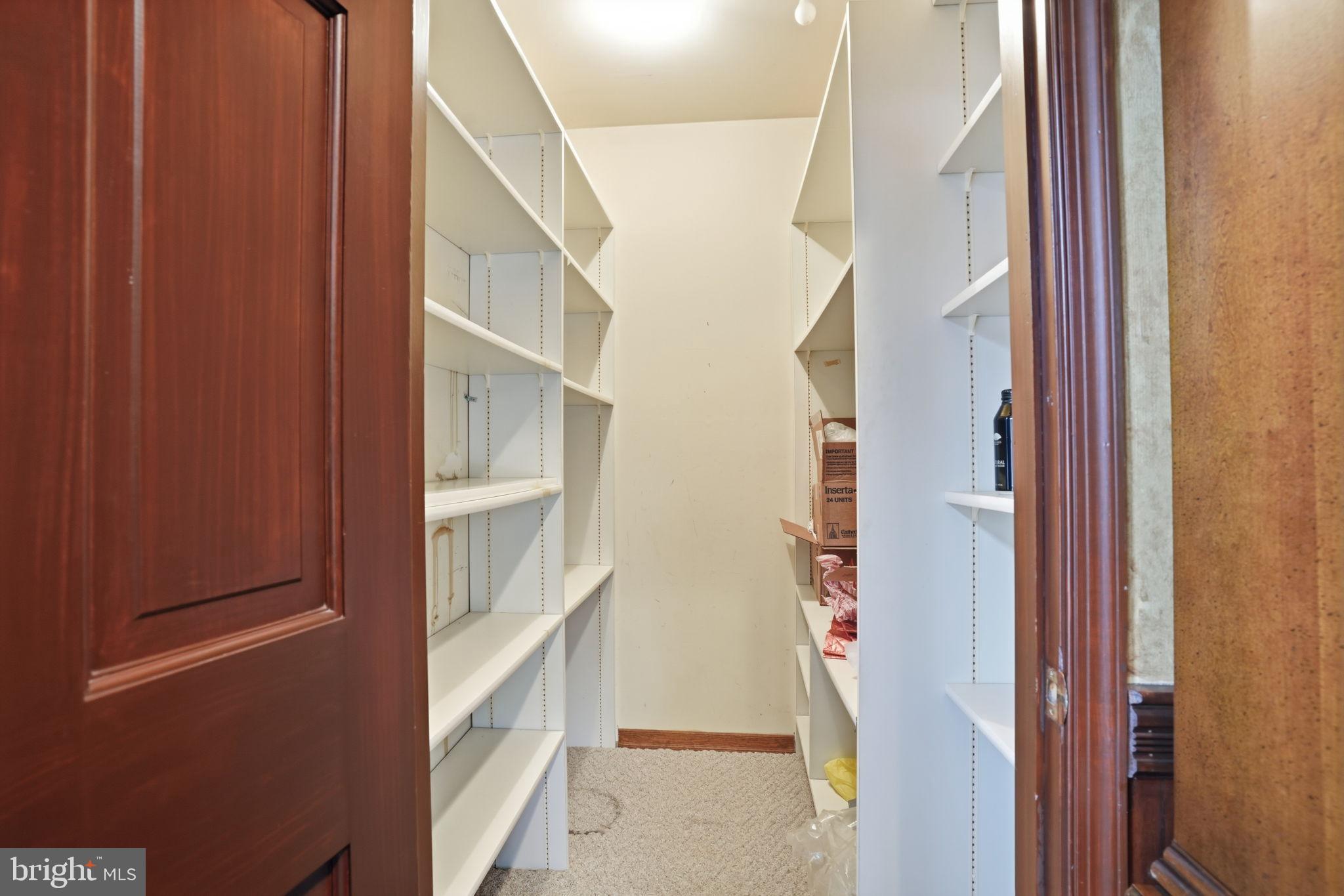 244 Mathers Road Ambler, PA 19002 - Photo 12 of 96 Spacious pantry with ample shelving.