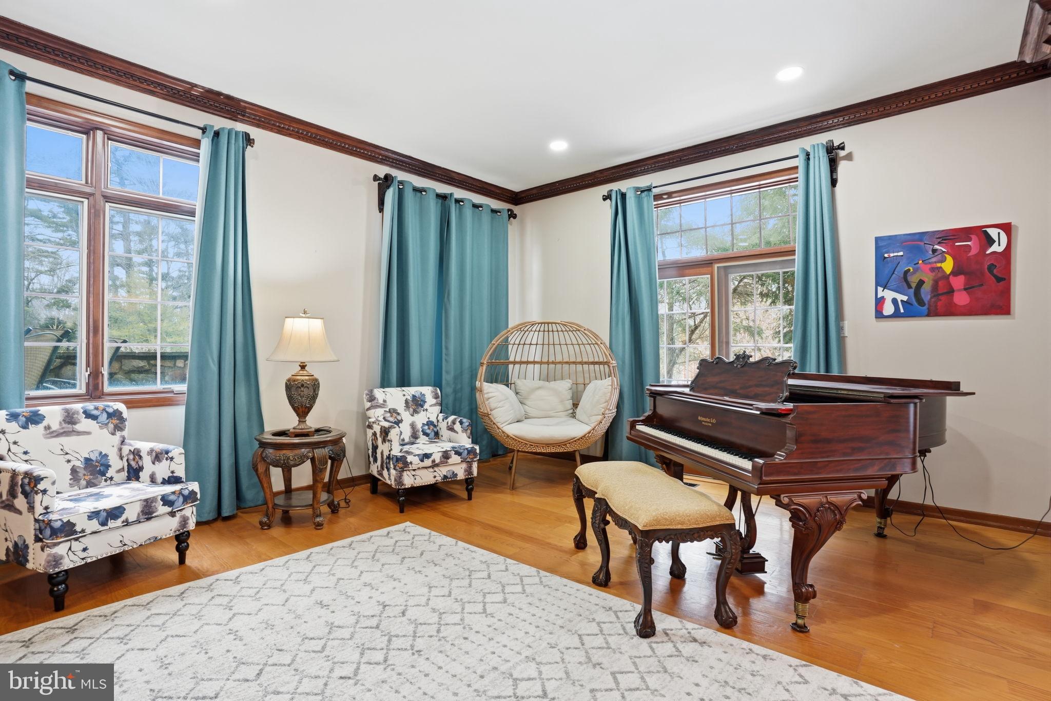 244 Mathers Road Ambler, PA 19002 - Photo 14 of 96 Elegant living space with natural light.