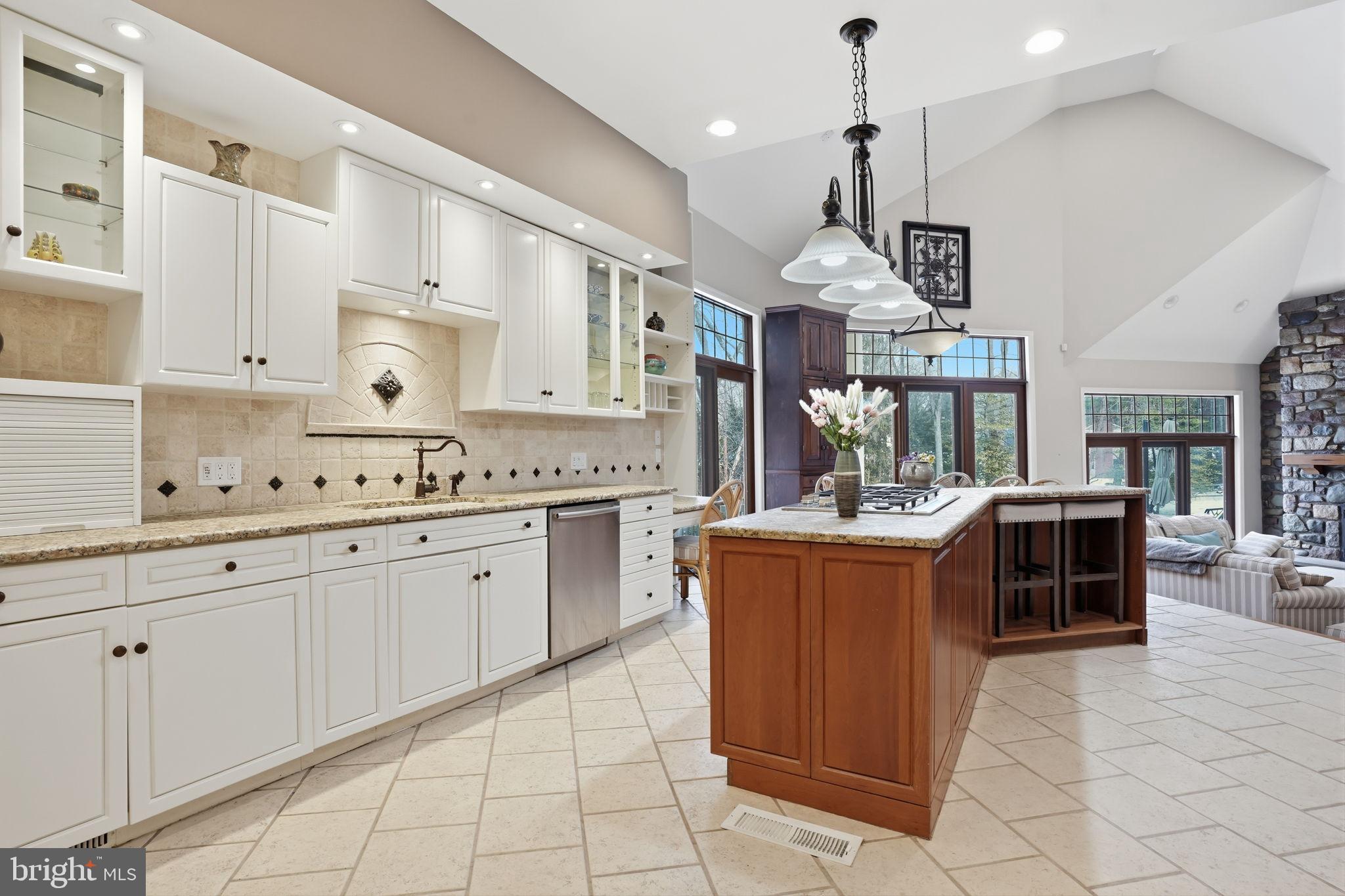244 Mathers Road Ambler, PA 19002 - Photo 18 of 96 Elegant kitchen with modern finishes.