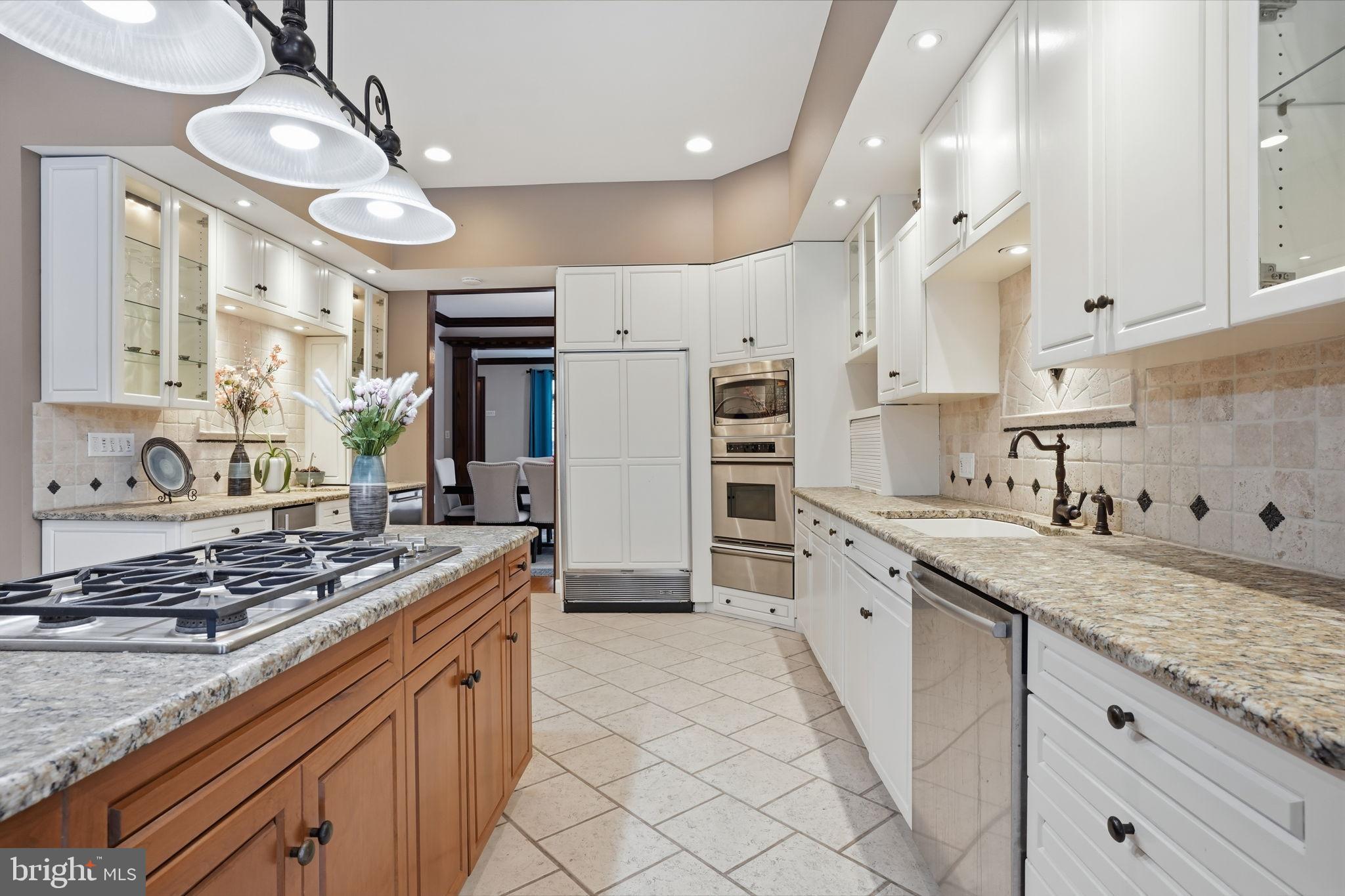 244 Mathers Road Ambler, PA 19002 - Photo 23 of 96 Elegant kitchen with modern finishes.