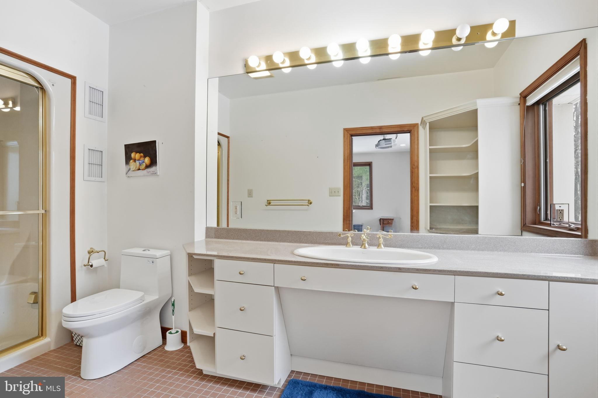 244 Mathers Road Ambler, PA 19002 - Photo 33 of 96 Bright and spacious modern bathroom retreat.