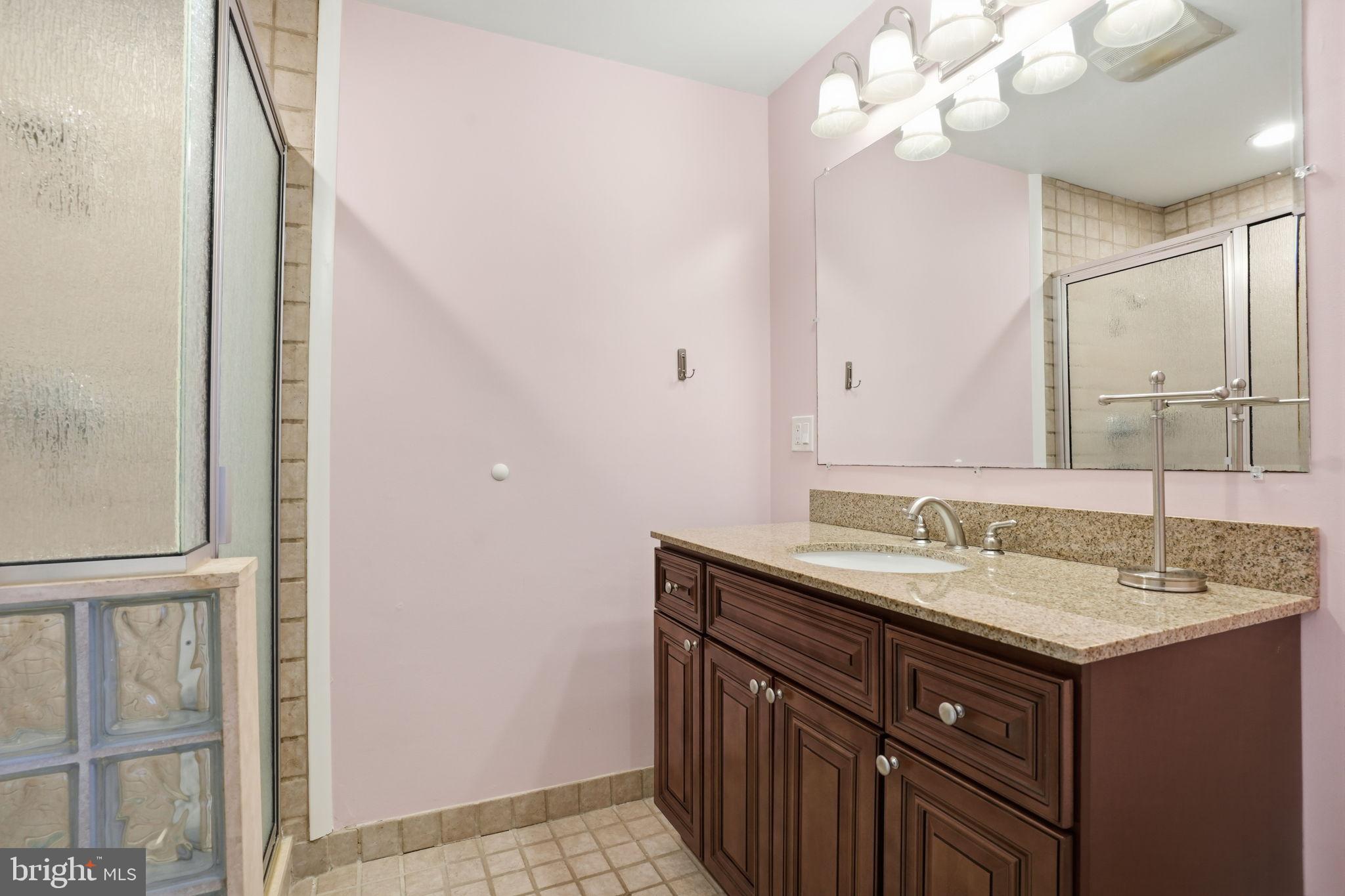 244 Mathers Road Ambler, PA 19002 - Photo 39 of 96 Charming bathroom with modern elegance.