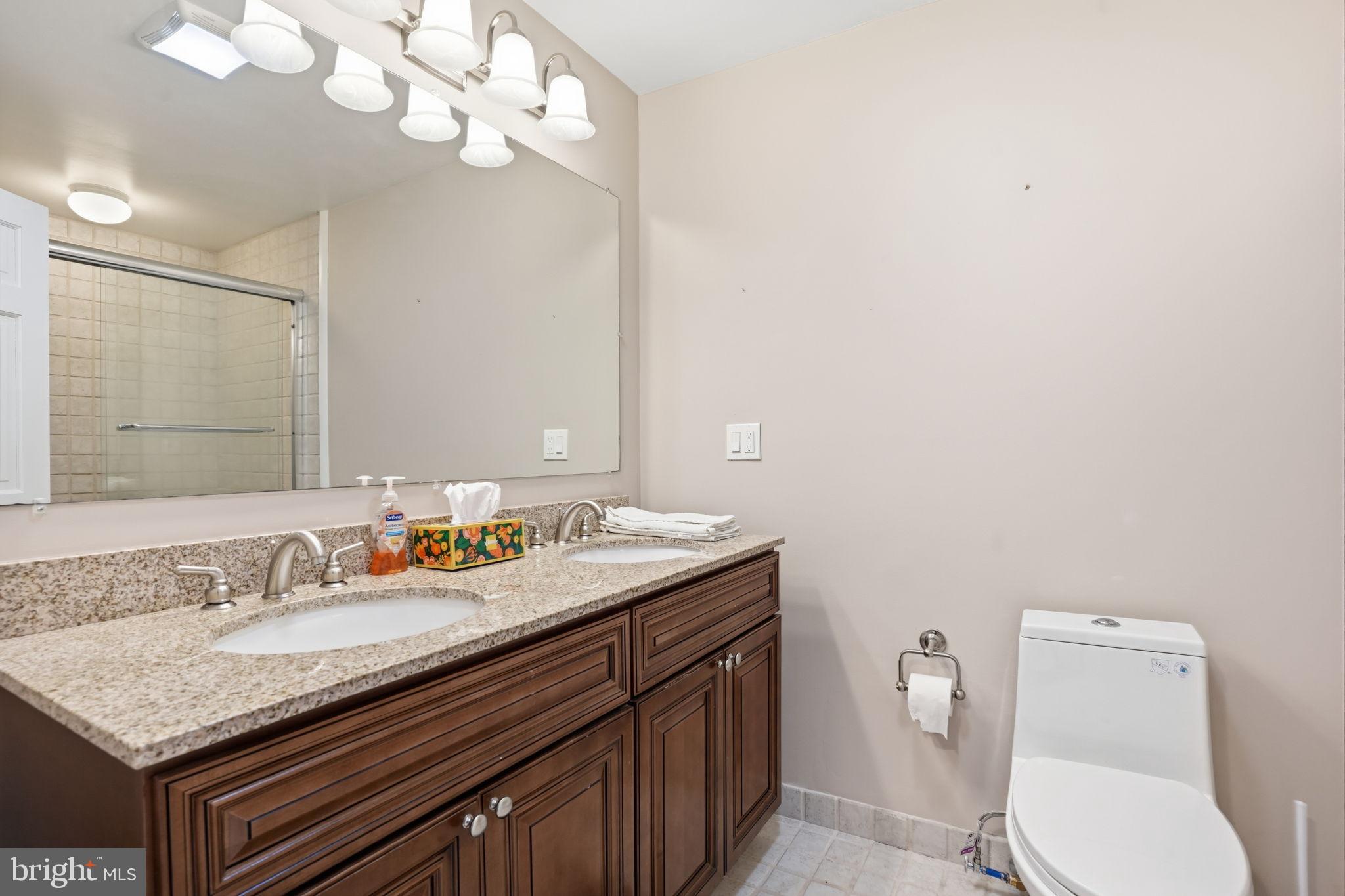 244 Mathers Road Ambler, PA 19002 - Photo 43 of 96 Elegant bathroom with dual sinks and light.