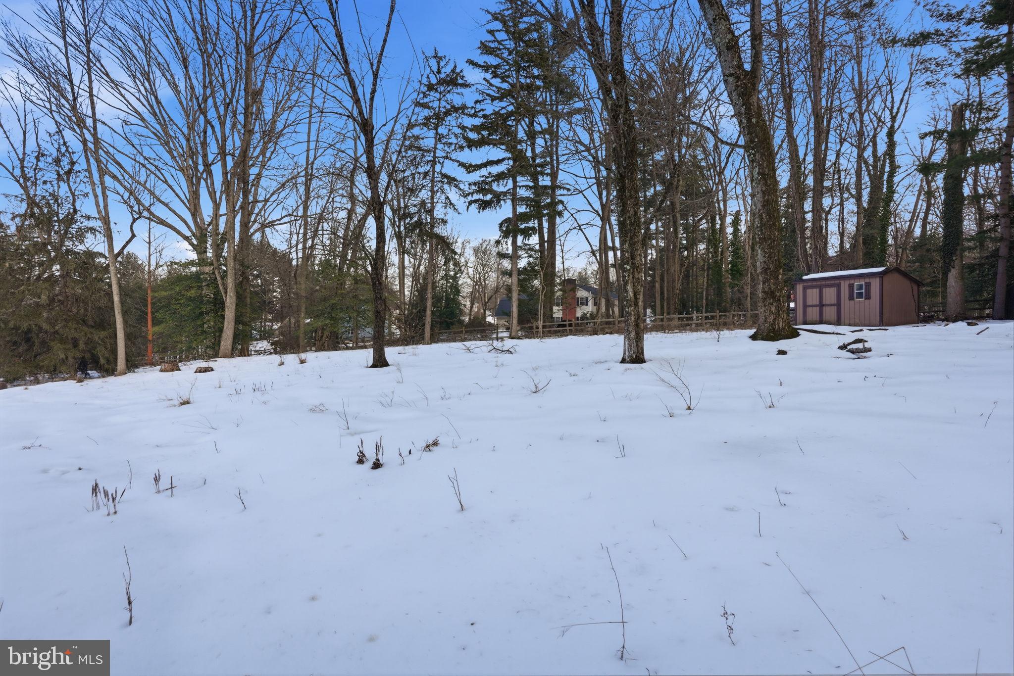 244 Mathers Road Ambler, PA 19002 - Photo 76 of 96 Serene winter landscape with wooded backdrop.
