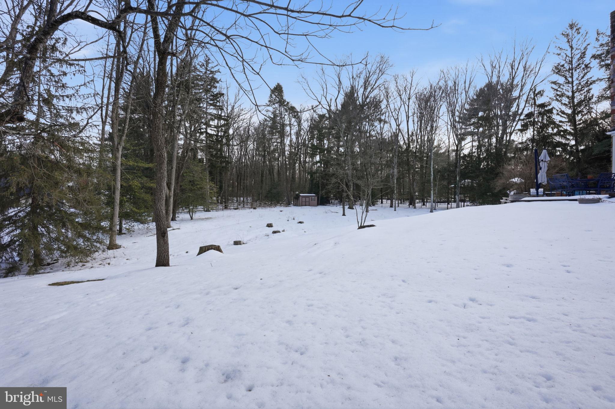244 Mathers Road Ambler, PA 19002 - Photo 81 of 96 Serene winter landscape blanketed in snow.