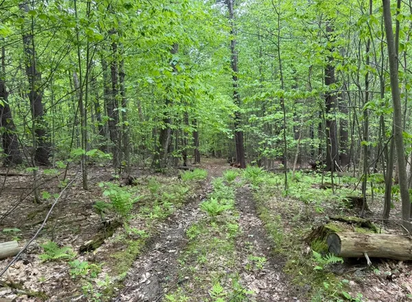 $118,000 | Lot 2 North Street, Unit 47, Dover, VT 05341