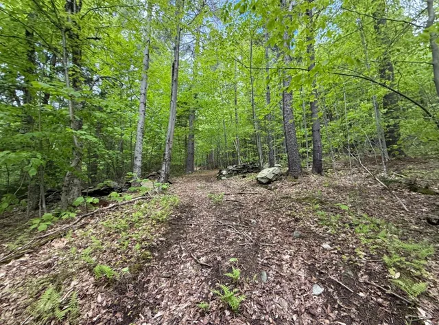 $120,000 | Lot 2 North Street, Unit 47, Dover, VT 05341