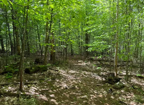 $118,000 | Lot 2 North Street, Unit 47, Dover, VT 05341