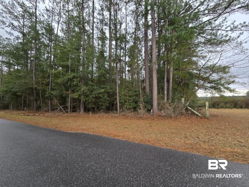 0 Tippens Eddy Road Brewton, AL 36426 - Photo 3 of 3 View of asphalt street
