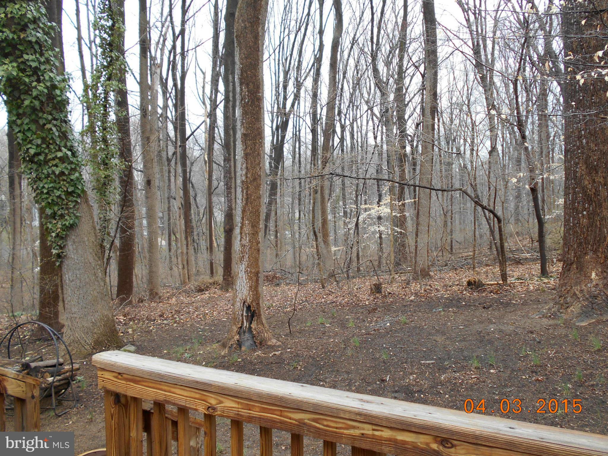 3940 Rickover Road Silver Spring, MD 20902 - Photo 22 of 25 View