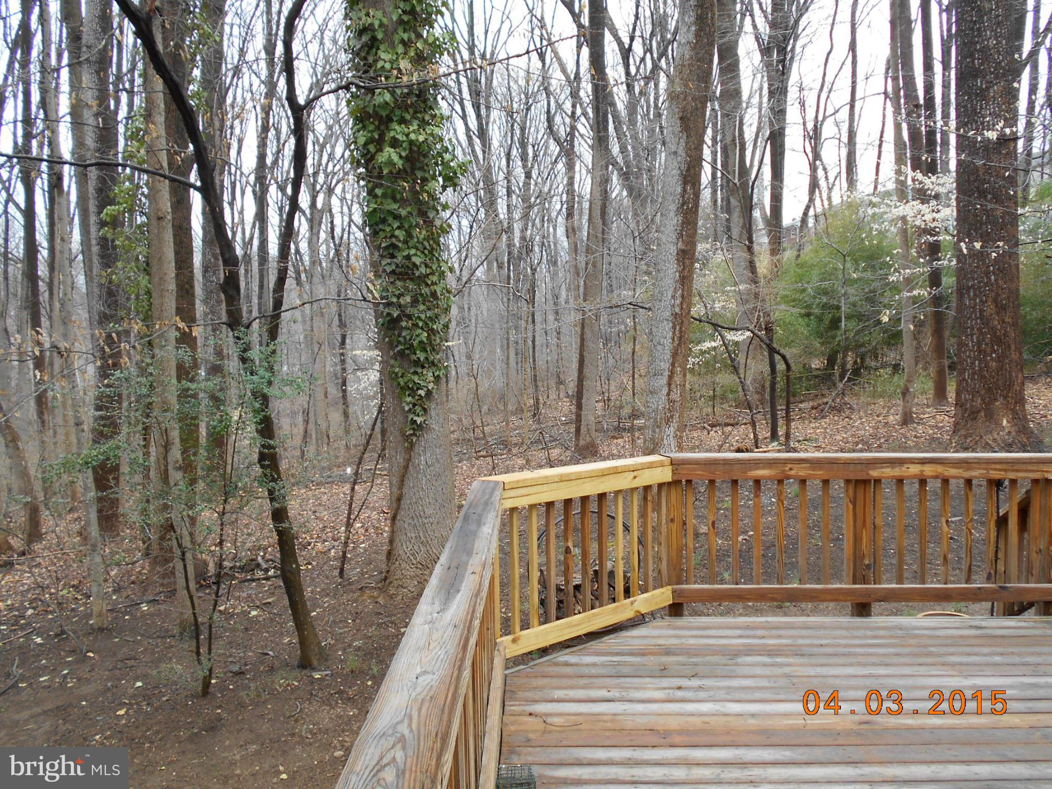 3940 Rickover Road Silver Spring, MD 20902 - Photo 24 of 25 Exterior (Rear)