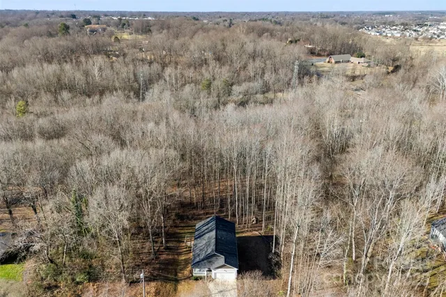 a view of a forest with trees in the background