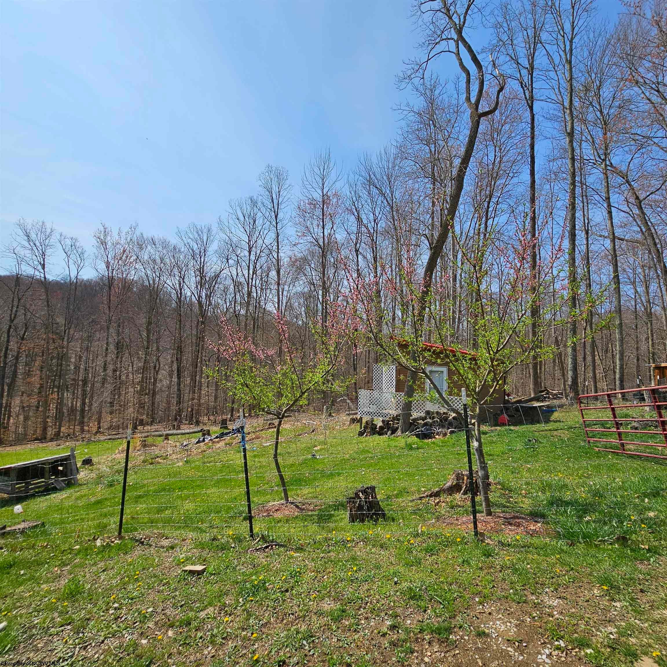 6531 Lake Lane Road Heaters, WV 26627 - Photo 34 of 41 Gallery Image 34