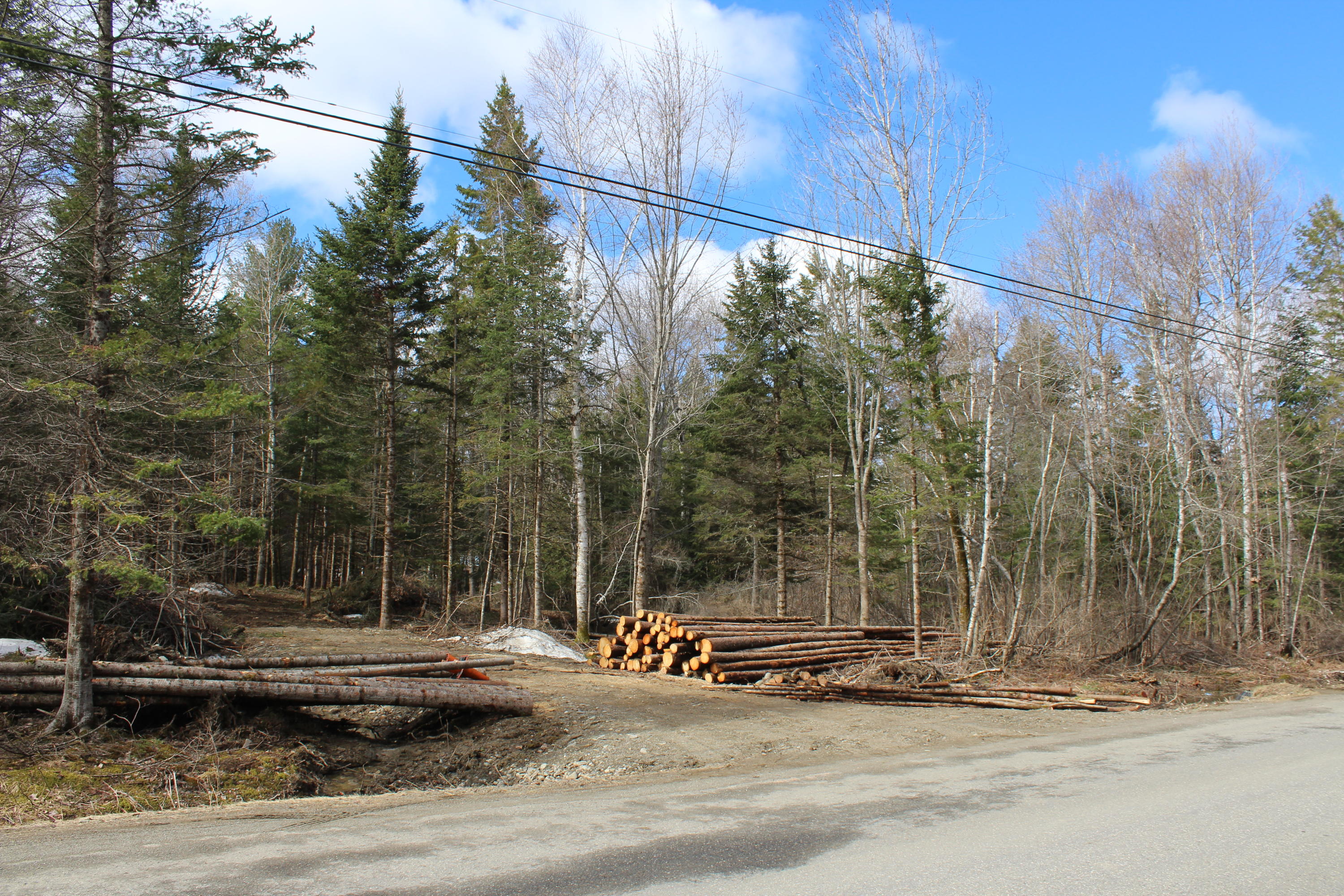 0 Mt Pleasant Road Levant, ME 04456 - Photo 2 of 7 IMG_2586
