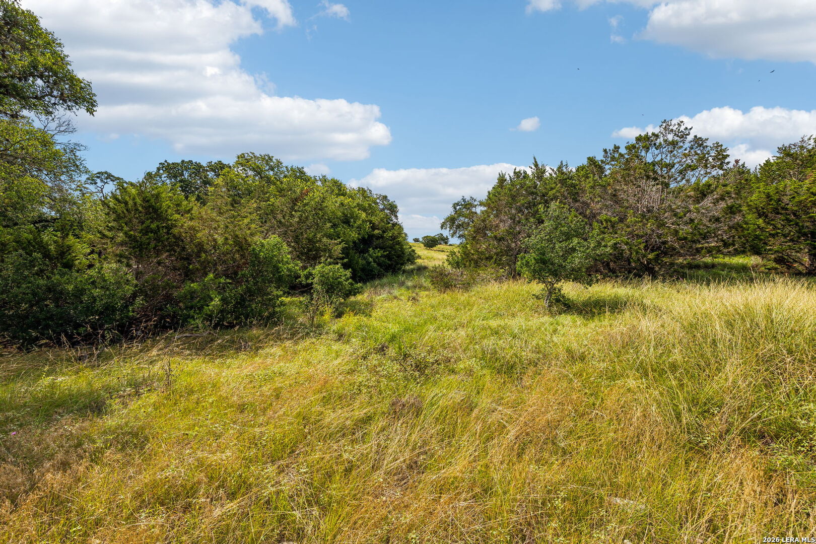 155 Obscure Way Spring Branch, TX 78070 - Photo 8 of 25