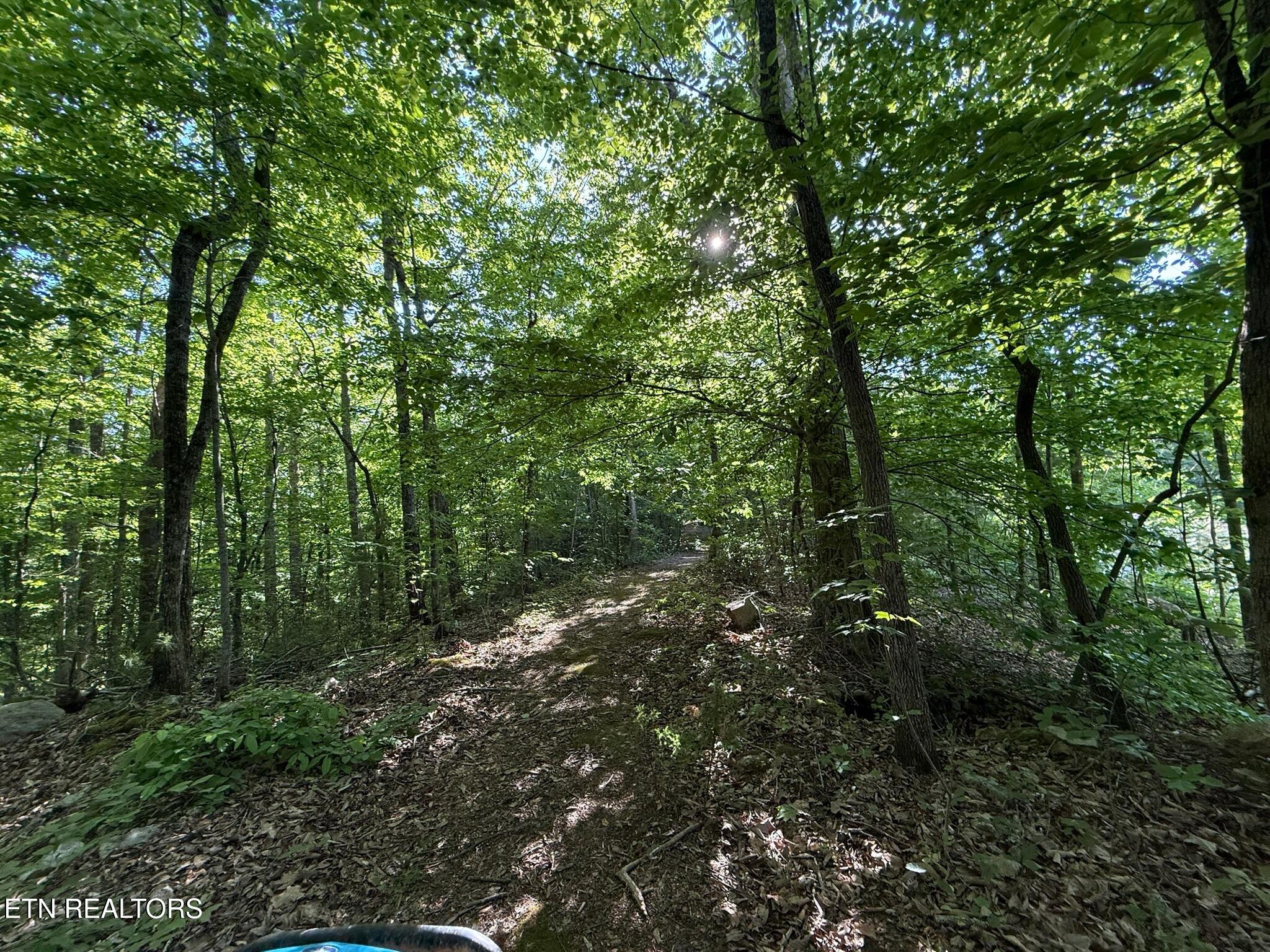 992 Chicken Hollow Road Newport, TN 37821 - Photo 17 of 37 IMG_0098