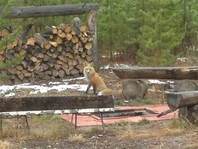 $549,900 | 99 Gcr 490 Grand Lake, Grand Lake, CO 80447