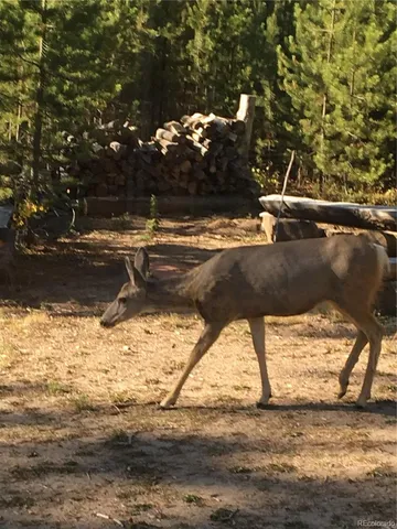 $549,900 | 99 Gcr 490 Grand Lake, Grand Lake, CO 80447