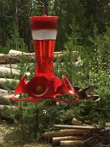 $549,900 | 99 Gcr 490 Grand Lake, Grand Lake, CO 80447