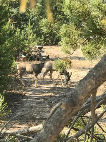 $549,900 | 99 Gcr 490 Grand Lake, Grand Lake, CO 80447