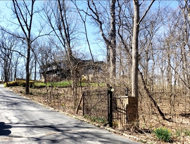 11650 Walnut Ridge Drive Palos Park, IL 60464 - Photo 3 of 56
