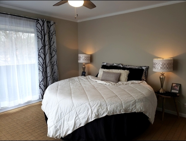 11650 Walnut Ridge Drive Palos Park, IL 60464 - Photo 34 of 56