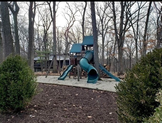 11650 Walnut Ridge Drive Palos Park, IL 60464 - Photo 52 of 56