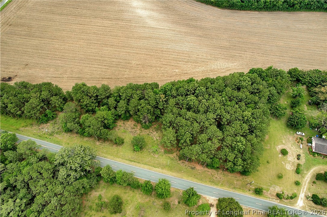 Tbd Quick Road Lumber Bridge, NC 28357 - Photo 11 of 14