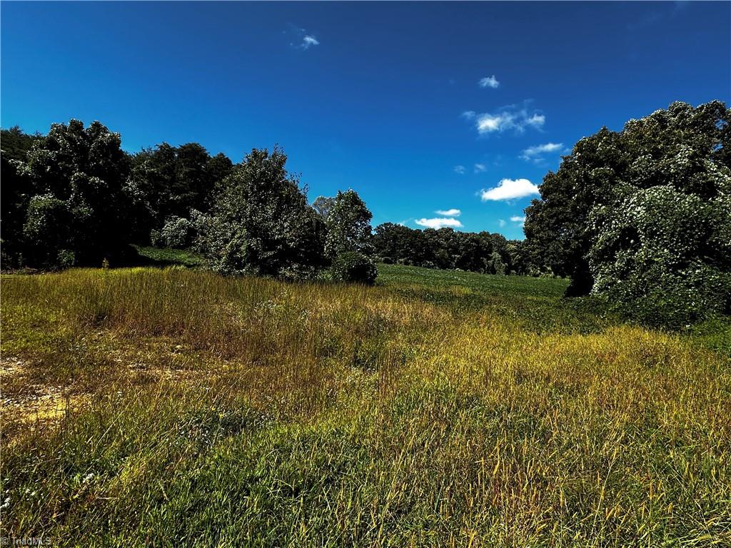 1065 Reid Road King, NC 27021 - Photo 3 of 5 gentle slope with views of Hanging Rock Mt.