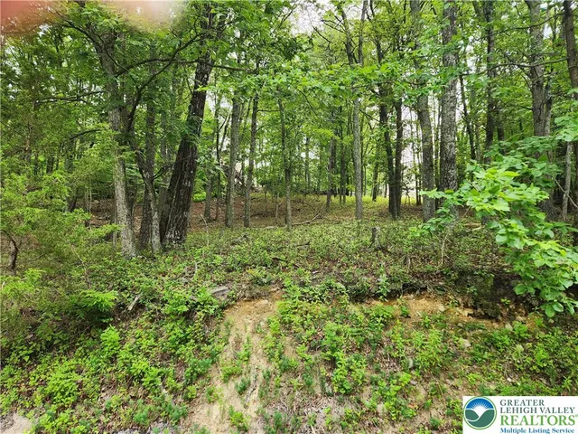 a big yard with lots of green space and deers