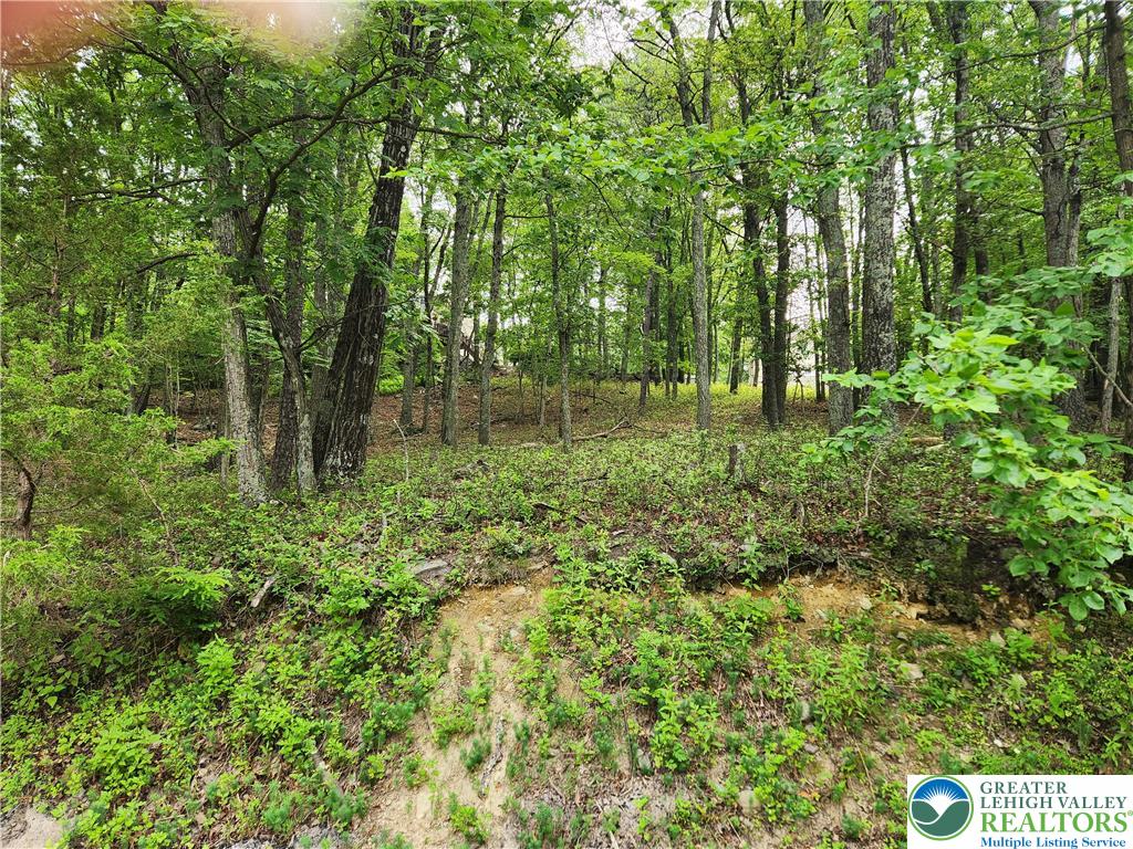 Seneca Road East Stroudsburg, PA 18302 - Photo 2 of 5 a big yard with lots of green space and deers