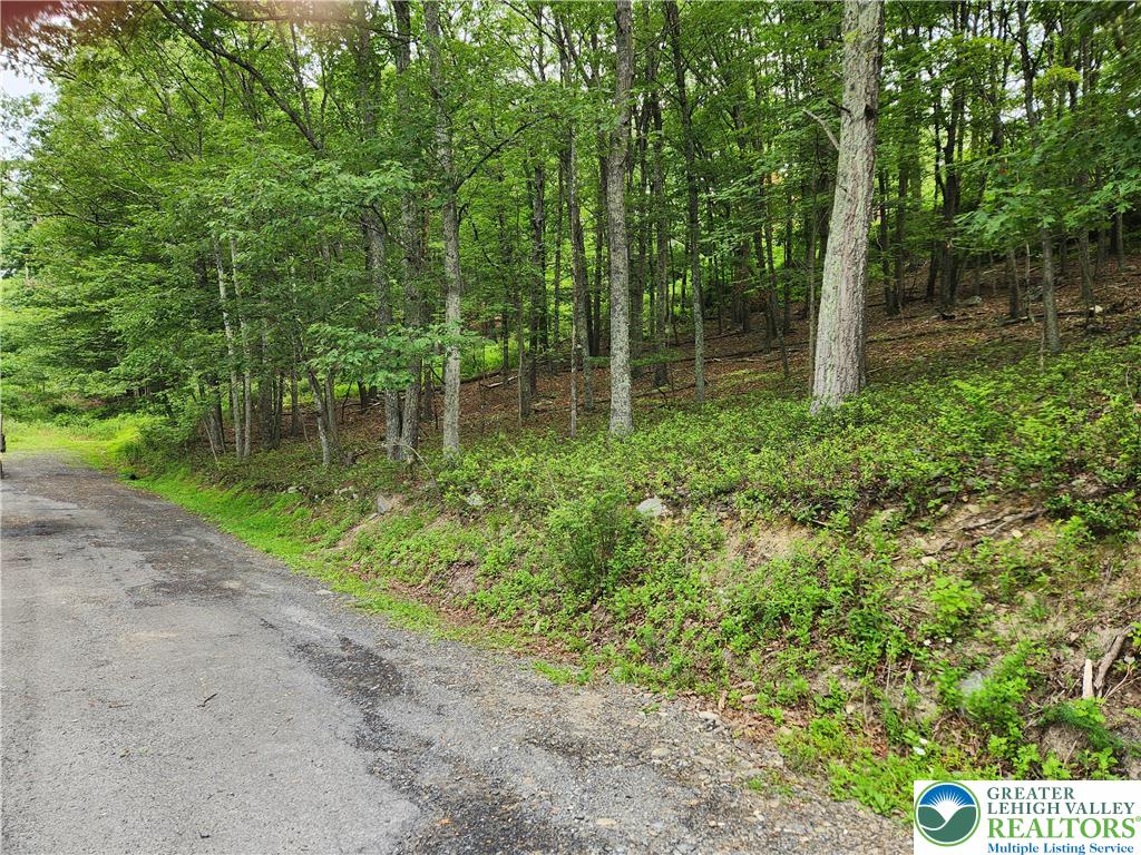 Seneca Road East Stroudsburg, PA 18302 - Photo 3 of 5 a backyard of a house with lots of green space and lake view