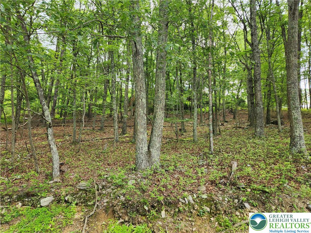 Seneca Road East Stroudsburg, PA 18302 - Photo 5 of 5 a bathroom with a small yard