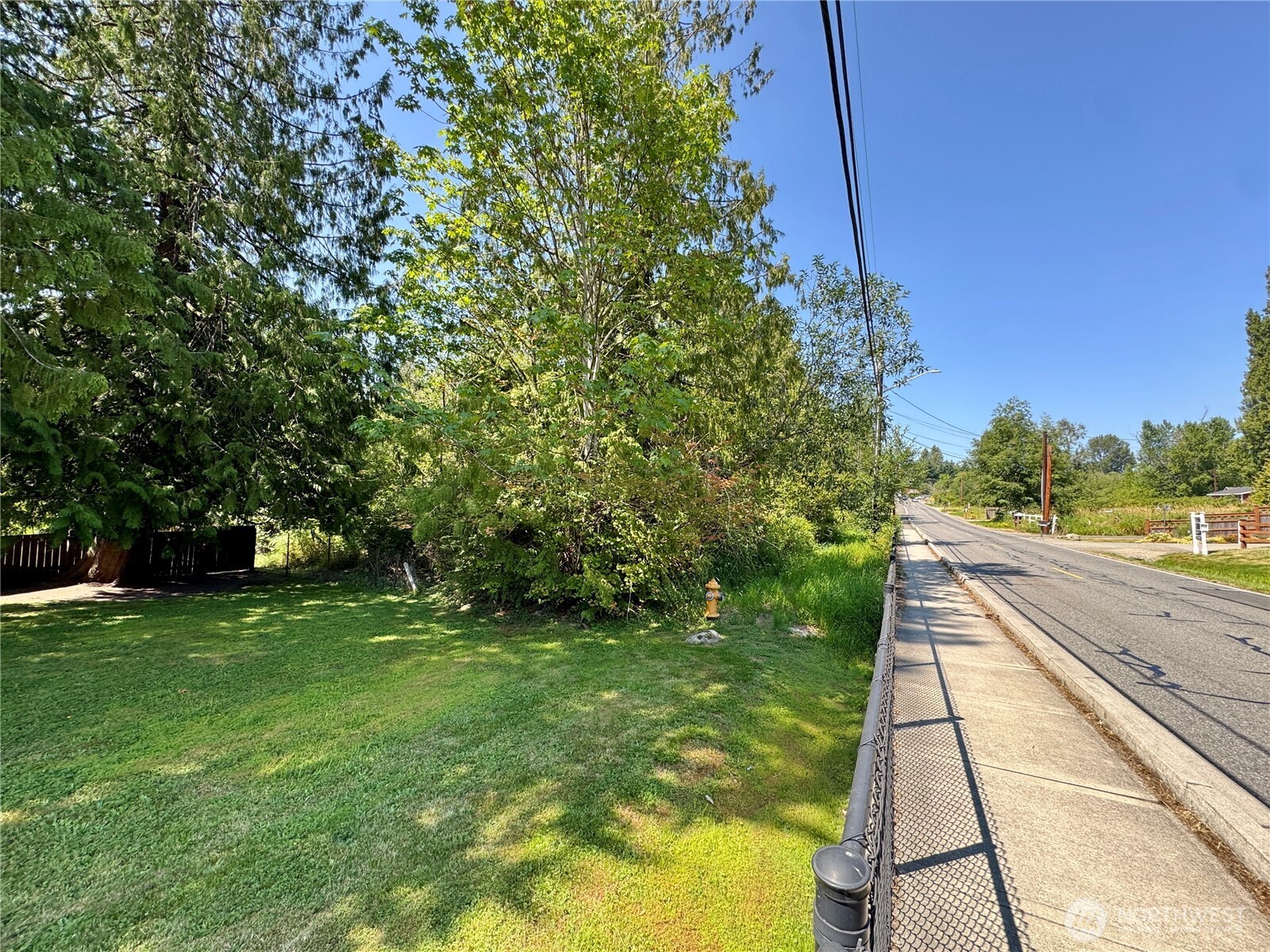 242-xx 7th Avenue Southeast Bothell, WA 98021 - Photo 4 of 5 a view of a yard with an trees