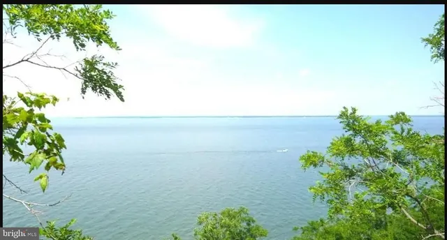 a view of a wooden floor