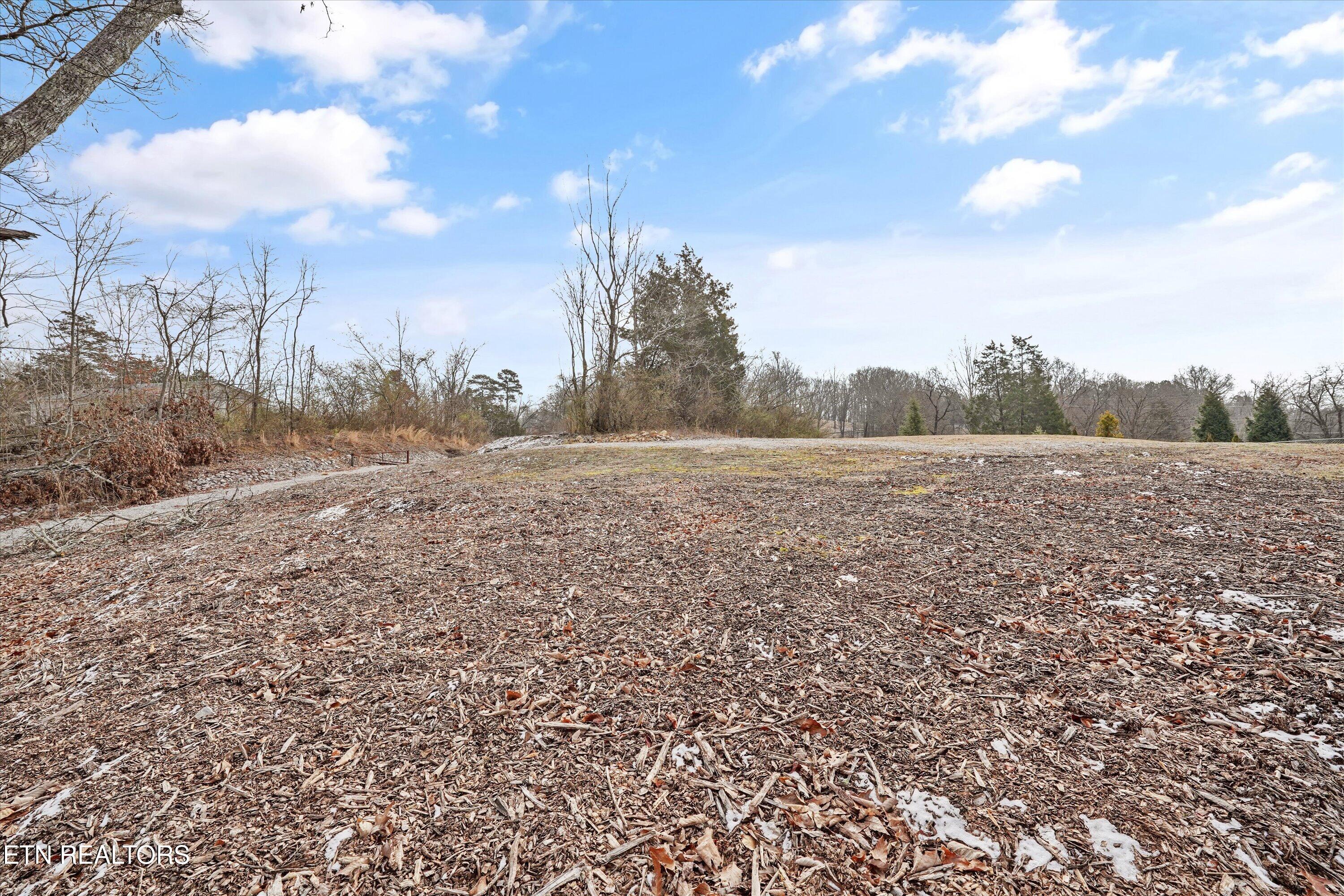 5309 Nickle Road Knoxville, TN 37921 - Photo 14 of 17 12-5309 Nickle Rd04