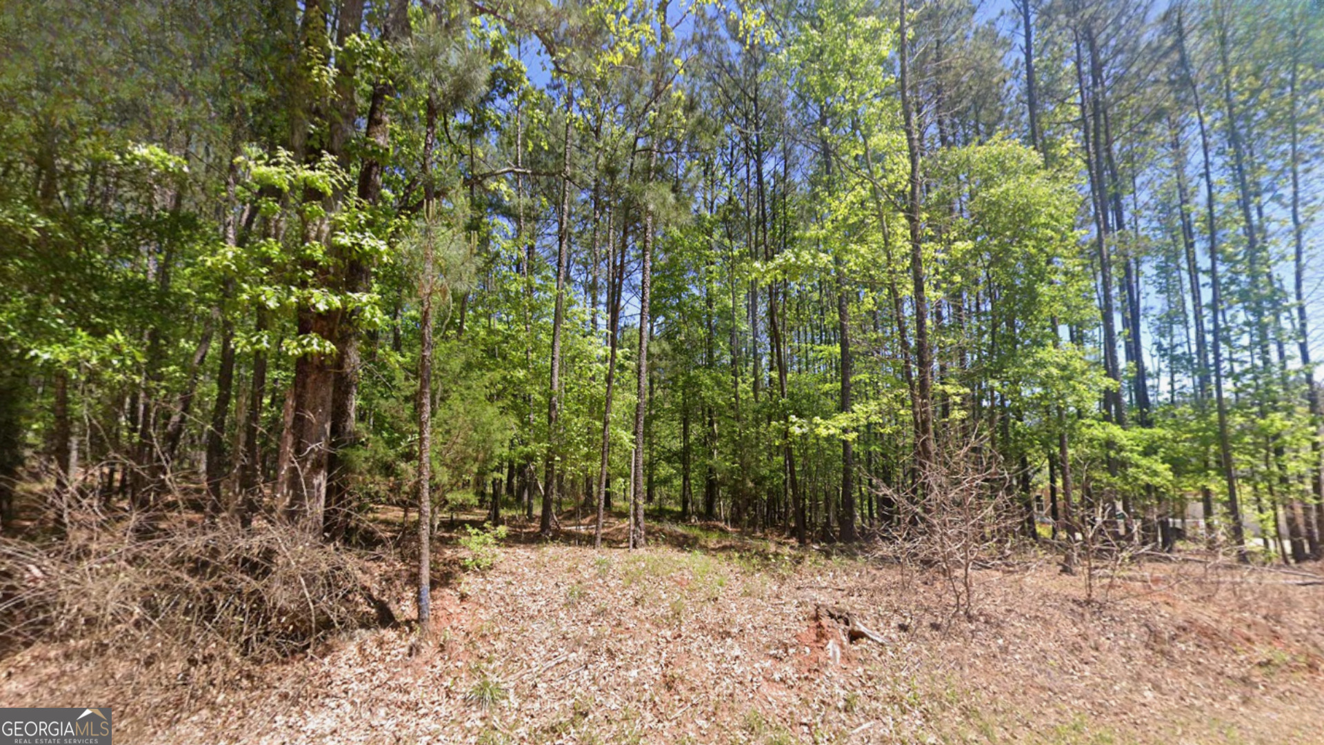 0 Goshen Road Thomaston, GA 30286 - Photo 6 of 18 a view of a yard with plants and trees