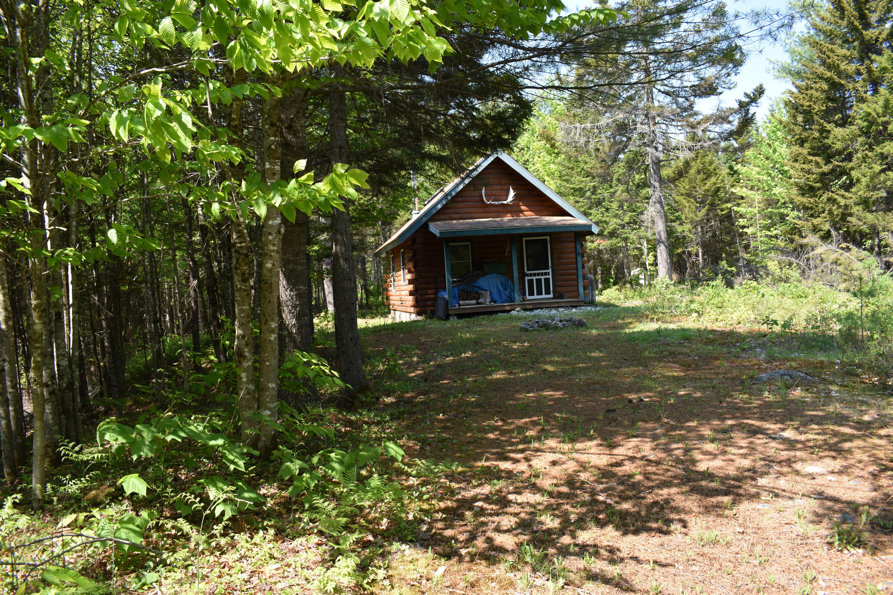219 North Road Howland, ME 04448 - Photo 16 of 27 DSC_0180