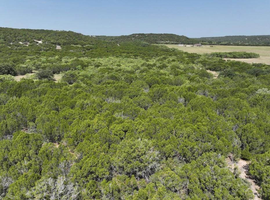 1093 Lemons Gap Road Ovalo, TX 79541 - Photo 9 of 18 Gallery Image 9