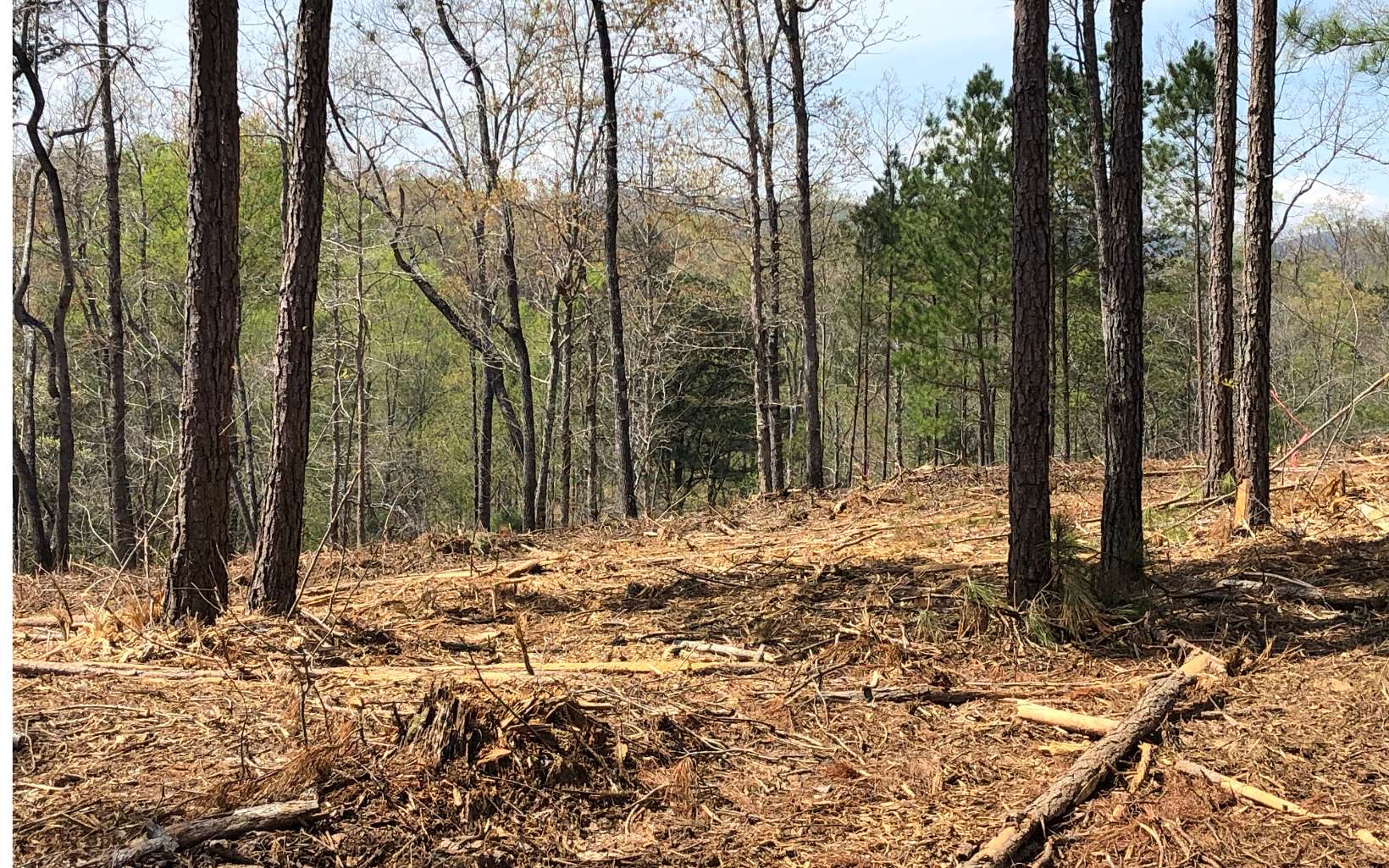 9 Crossroads Church Road Ellijay, GA 30540 - Photo 1 of 1 Main View