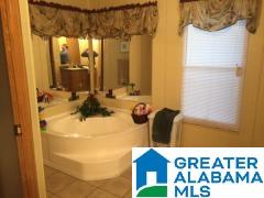 7065 Groundhog Road Morris, AL 35116 - Photo 4 of 10
