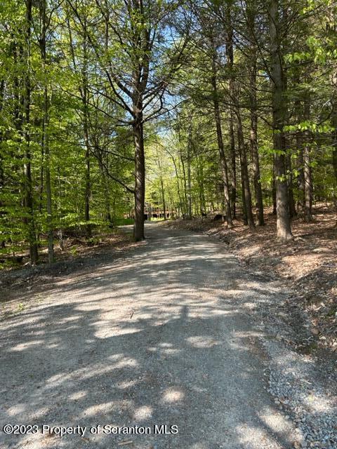 61 Lillie Road Waymart, PA 18472 - Photo 82 of 83 Gallery Image 82