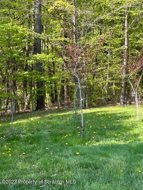 61 Lillie Road Waymart, PA 18472 - Photo 83 of 83 Gallery Image 83